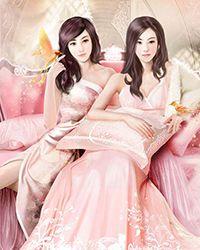 暗夜雄狮介绍