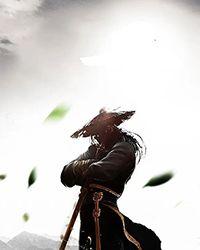 主角是巨魔一族的